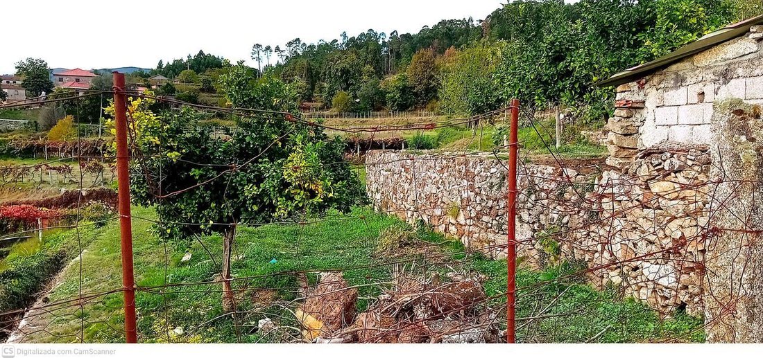 Farm Ranch in Vilela, Sao Cosme e Sao Damiao e Sa, Viana do Castelo District, Portugal 5 - 16700941