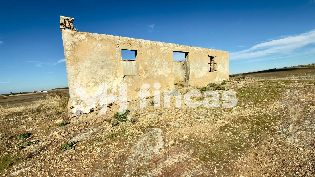 Land in Utrera, Andalusia, Spain 4 - 16700762
