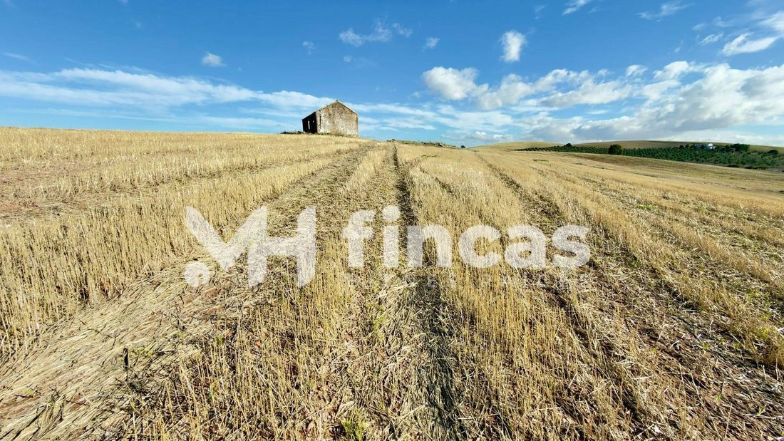 Land in Utrera, Andalusia, Spain 1 - 16700762