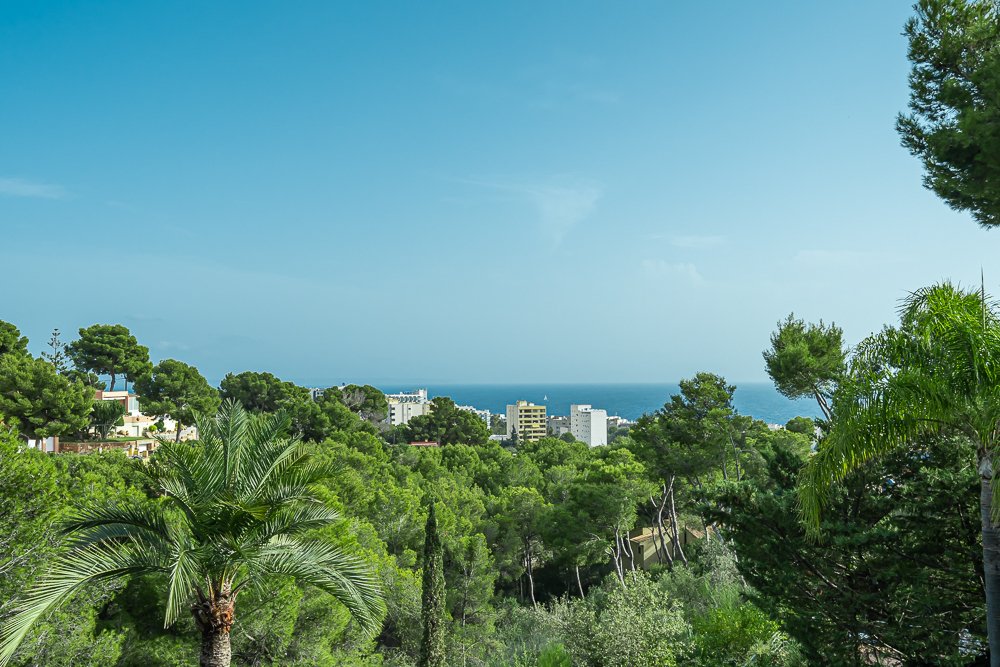 Villa in Costa d'en Blanes, Calvia, Balearic Islands 2 - 16702290