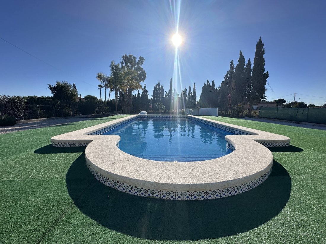 Villa in Dolores, Valencian Community, Spain 3 - 16702518
