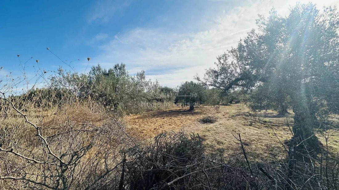 Land in Chatt Meriem, Tunisia 1 - 16702632