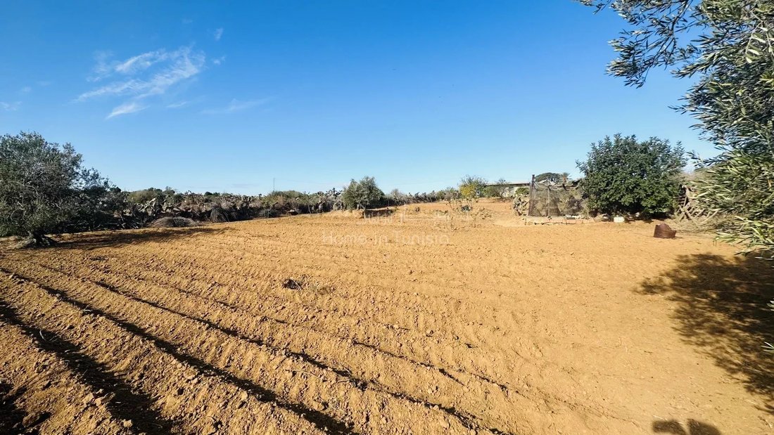 Land in Chatt Meriem, Tunisia 2 - 16702632