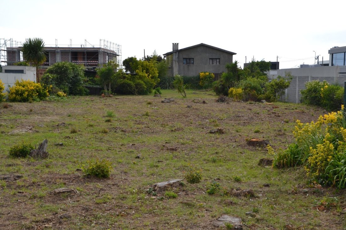 House in Gulpilhares e Valadares, Porto District, Portugal 4 - 16704596