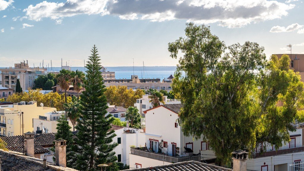 Apartment in Palma, Balearic Islands, Spain 5 - 16703508