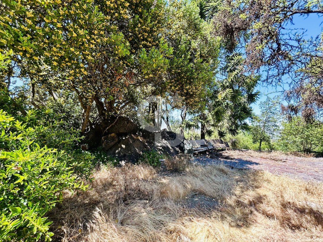 Land in Vitacura, Santiago Metropolitan Region, Chile 2 - 16703355