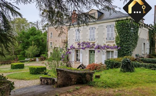 House in Ardentes, Centre-Val de Loire, France 1