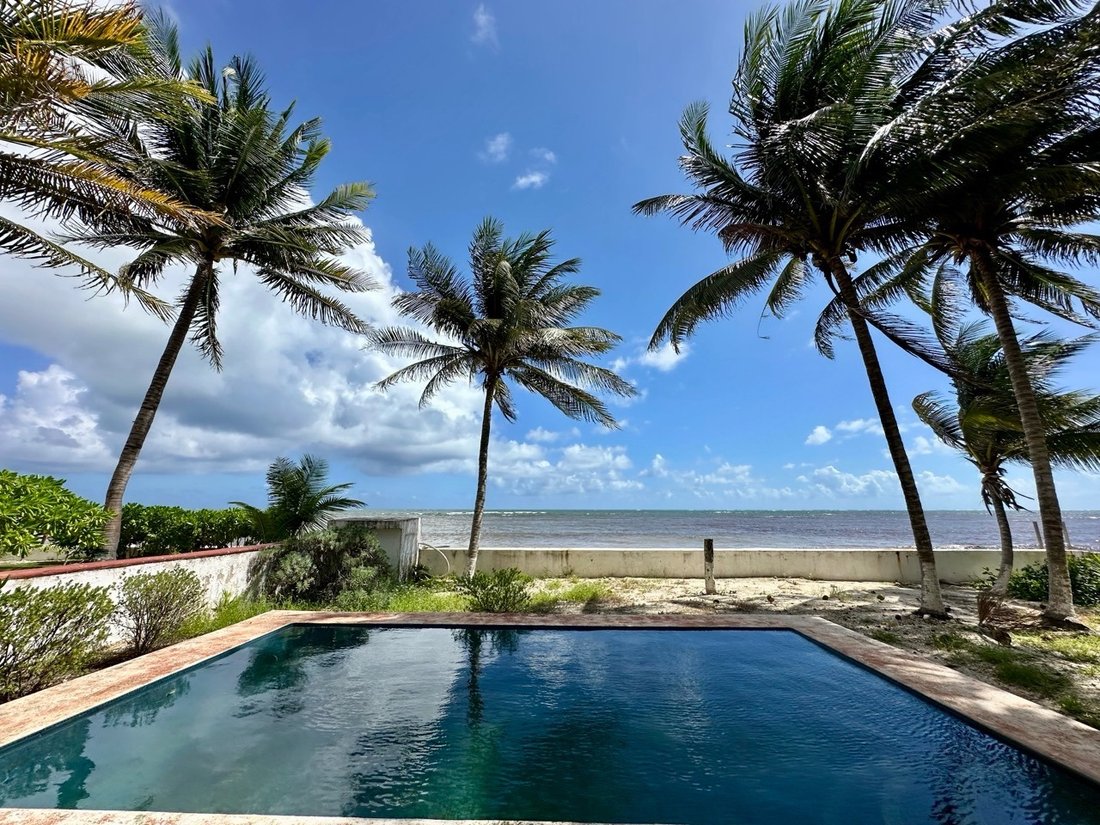 House in Puerto Morelos, Quintana Roo, Mexico 3 - 16704014