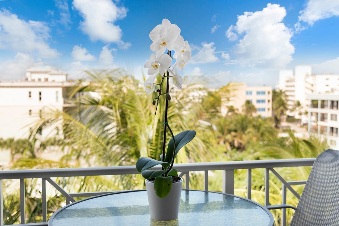 Condo in Deerfield Beach, Florida, United States 4 - 16703345