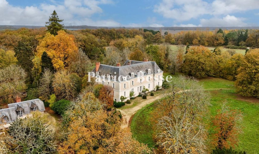 Castle for Sale in Tours, Centre-Val de Loire, France