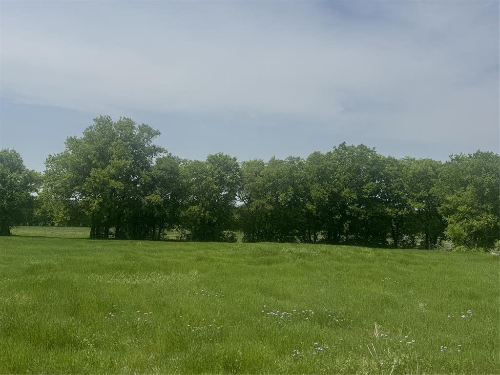 House in Decatur, Texas, United States 5 - 16702881