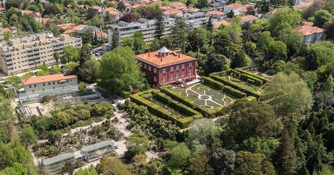 Villa in Lordelo do Ouro e Massarelos, Porto District, Portugal 2 - 16626036