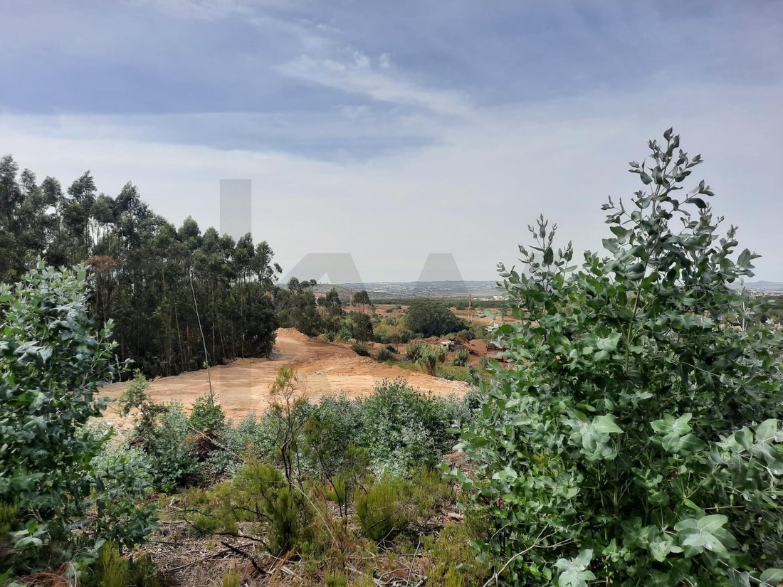 Land in Belas, Lisbon, Portugal 2 - 16705360