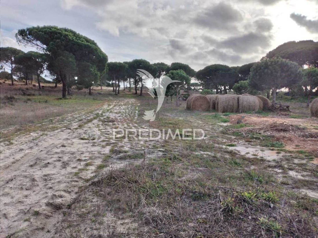 Land in Melides, Setubal, Portugal 5 - 16705726