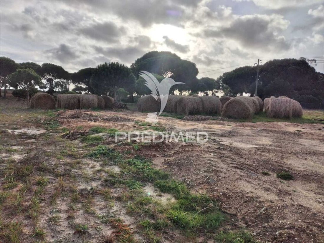 Land in Melides, Setubal, Portugal 4 - 16705726