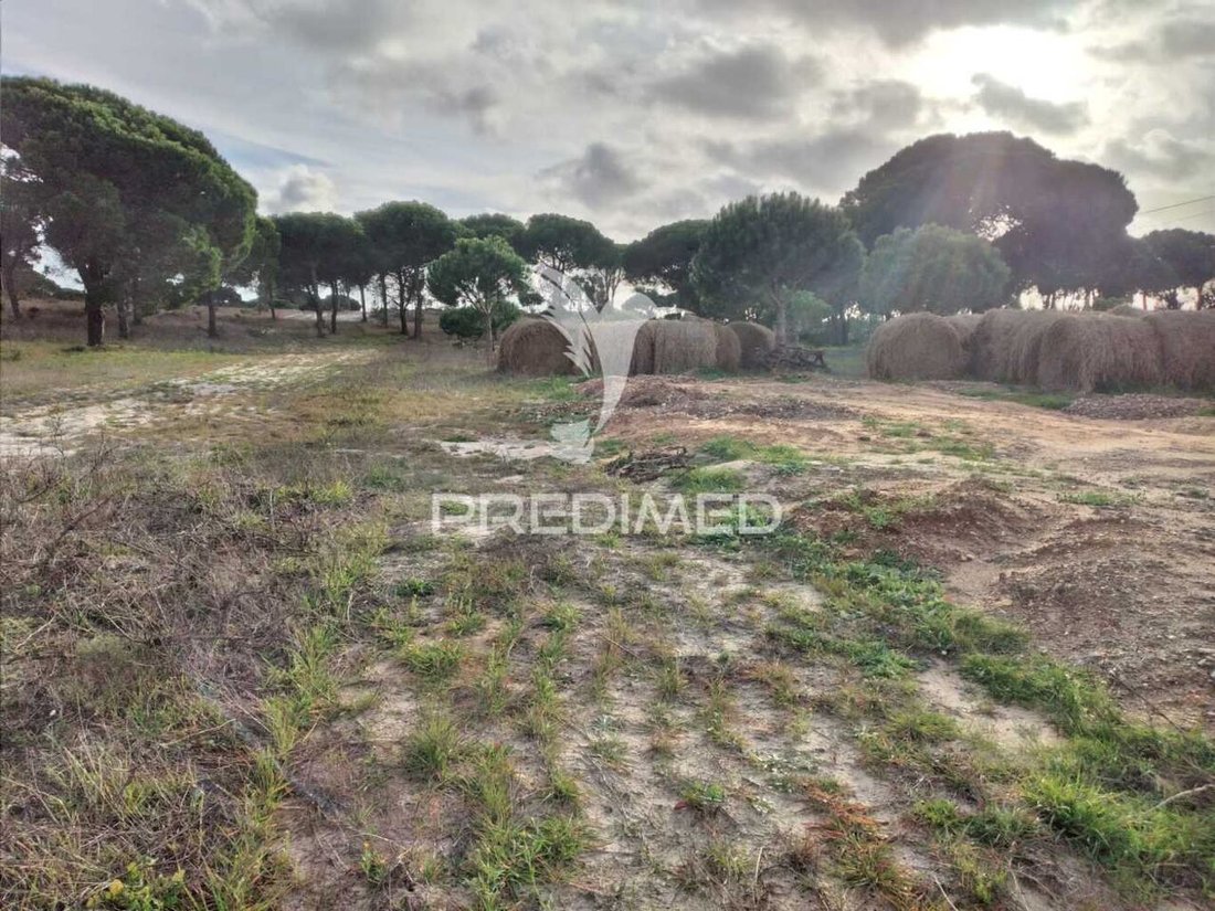 Land in Melides, Setubal, Portugal 3 - 16705726