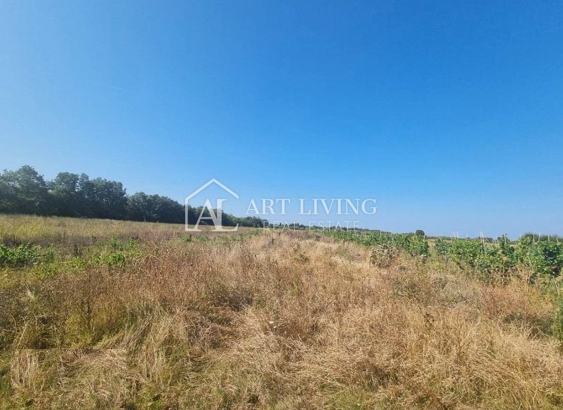 Land in Porec, Istria County, Croatia 4 - 16705697