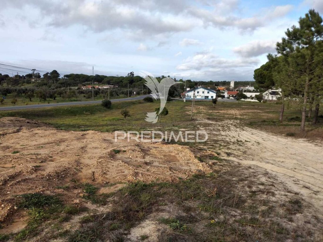 Land in Melides, Setubal, Portugal 1 - 16705726