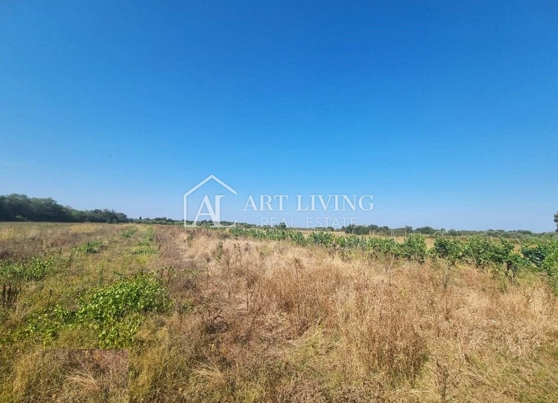 Land in Porec, Istria County, Croatia 3 - 16705697