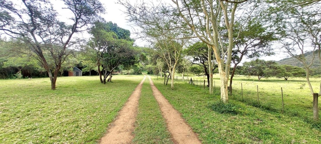 Farm Ranch in Cambridge West, Eastern Cape, South Africa 4 - 16703055