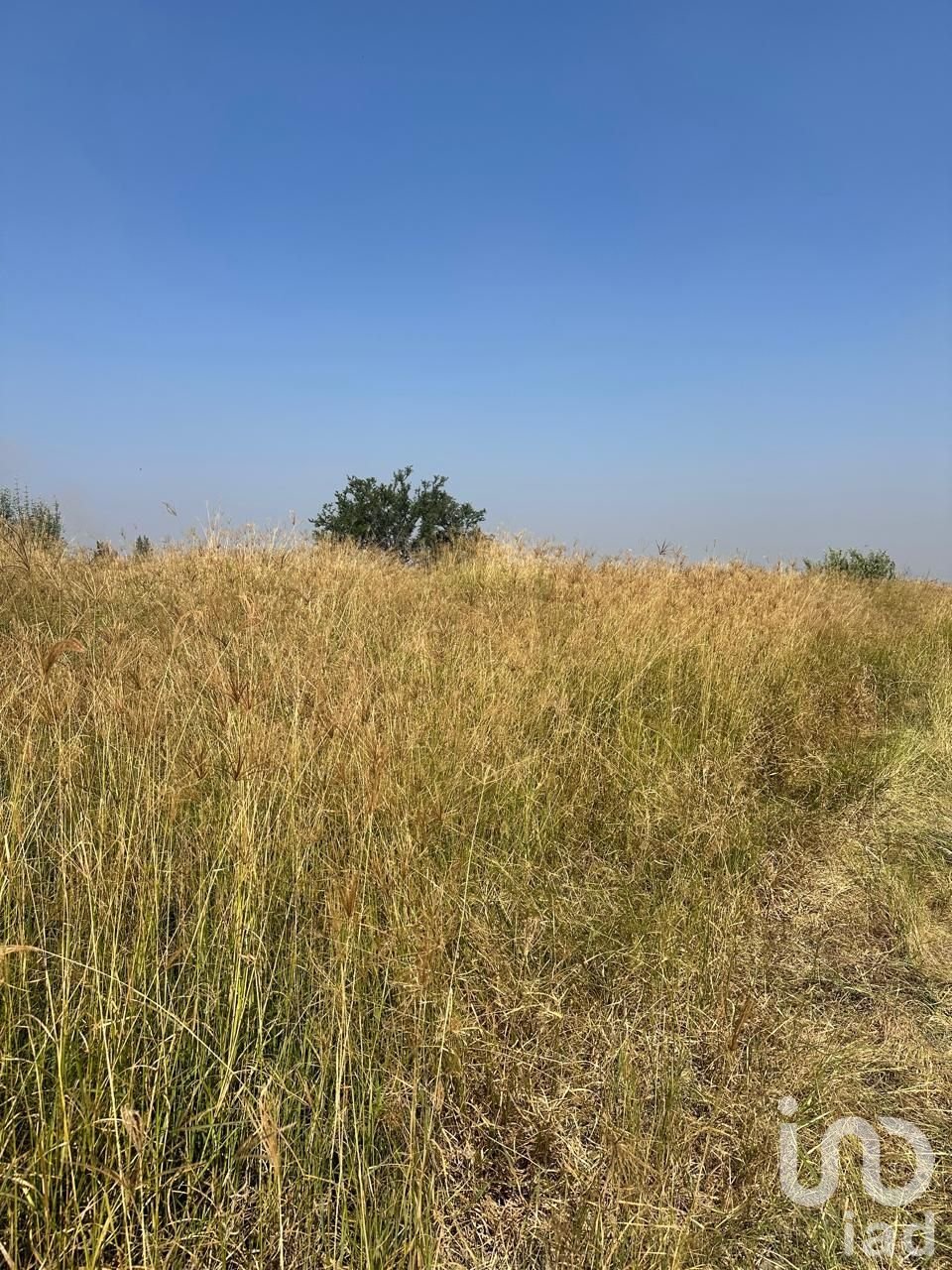 Land in Tlajomulco de Zúñiga, Jalisco, Mexico 4 - 16707491