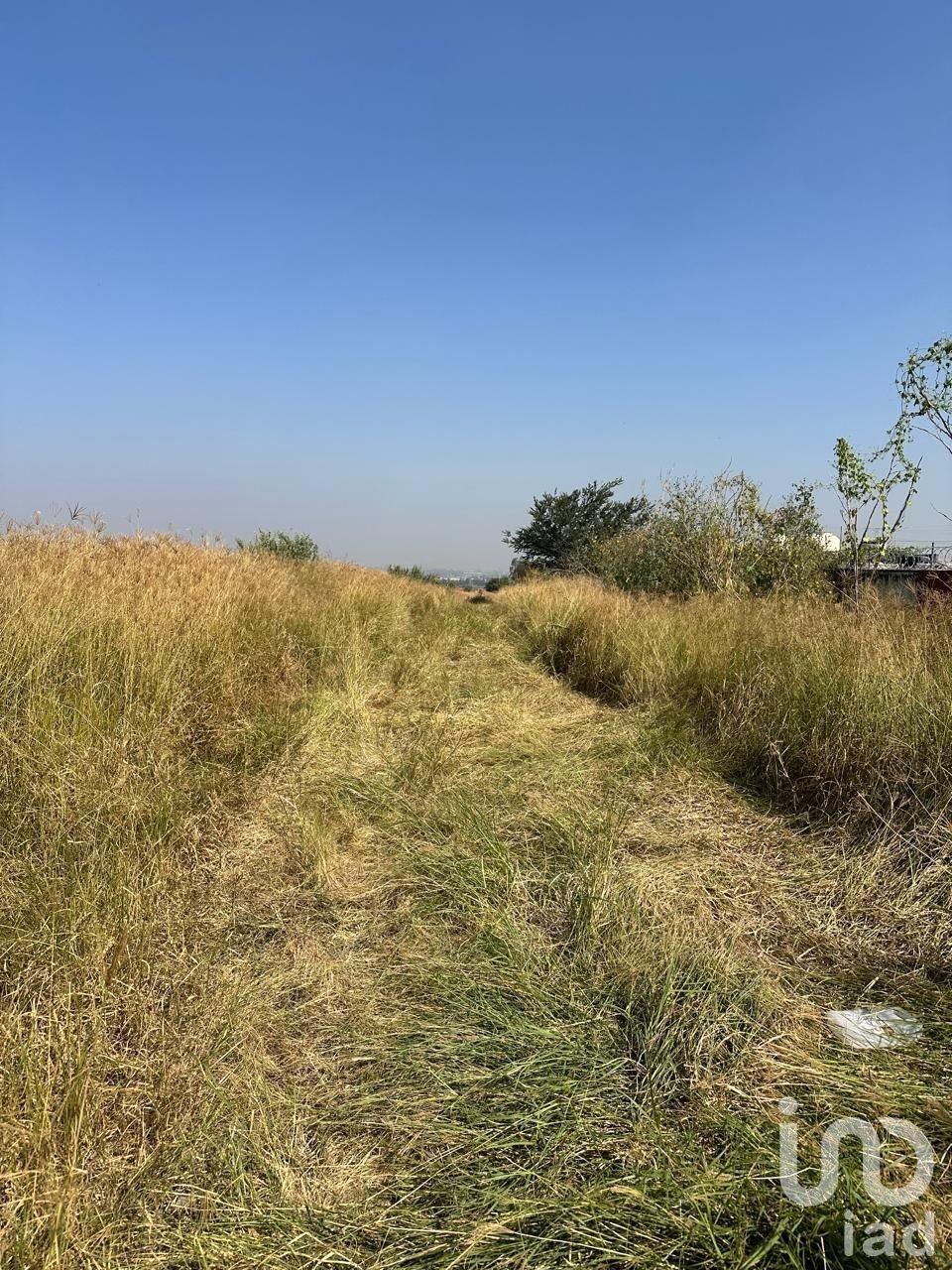 Land in Tlajomulco de Zúñiga, Jalisco, Mexico 5 - 16707491