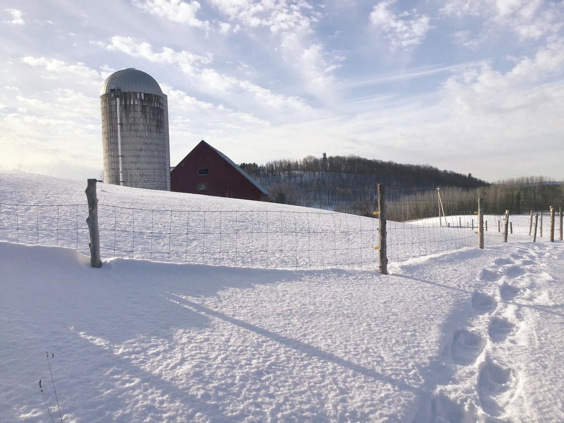 Derby, Vermont, United States 4 - 16707957