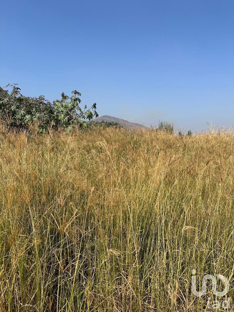 Land in Tlajomulco de Zúñiga, Jalisco, Mexico 3 - 16707491