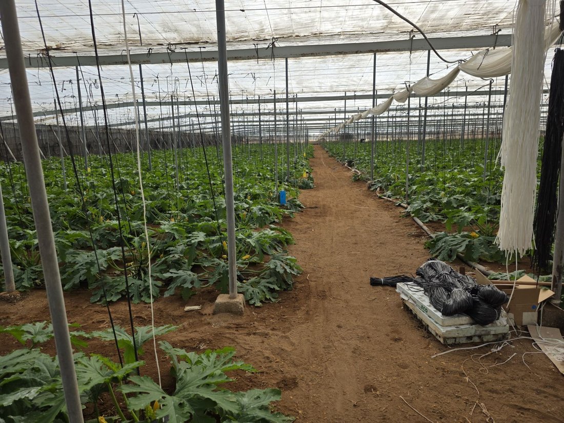 Farm Ranch in Nijar, Andalusia, Spain 5 - 16706488