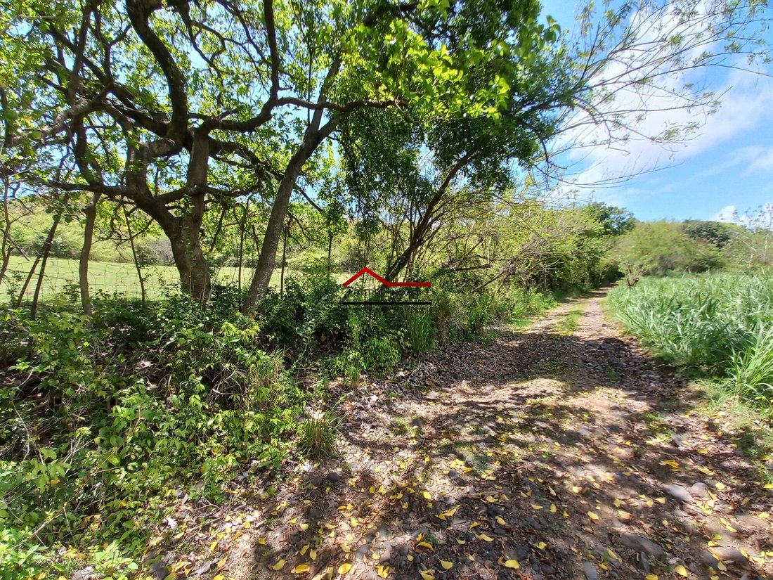 Land in Le Vauclin, Le Marin, Martinique 4 - 12847948