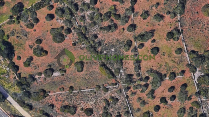 Land in Santa Barbara de Nexe, Algarve, Portugal 2 - 16707941