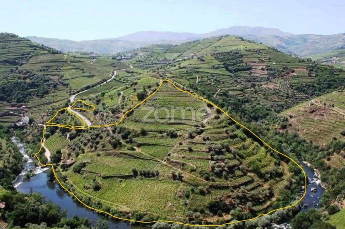 Finca in Alvacoes do Corgo, Vila Real District, Portugal 2 - 16708845
