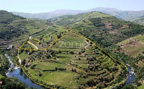 Finca in Alvacoes do Corgo, Vila Real District, Portugal 1