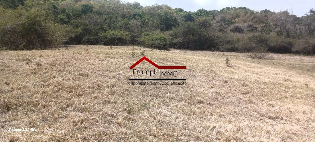 Land in Le Vauclin, Le Marin, Martinique 2 - 12847948