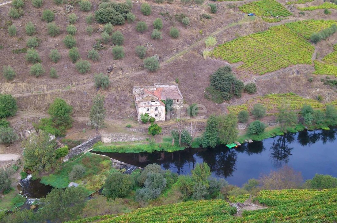 Finca in Alvacoes do Corgo, Vila Real District, Portugal 1 - 16708845