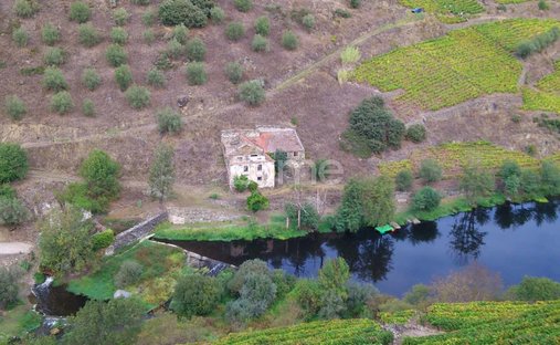 Finca en Alvacoes do Corgo, Distrito de Vila Real, Portugal 1