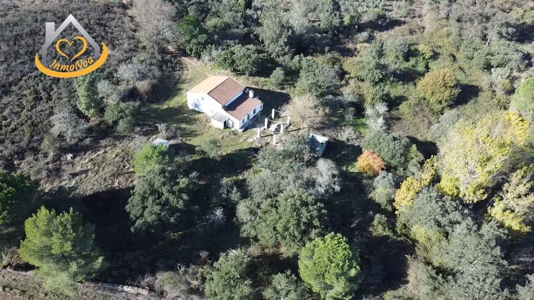 Farm Ranch in Puebla de Guzman, Andalusia, Spain 3 - 16706482