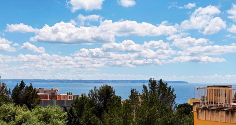 Apartment in Palma, Balearic Islands, Spain 1 - 16708810