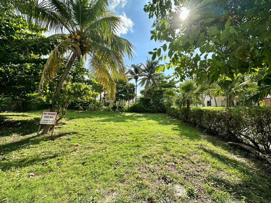 Terreno a Playa del Carmen, Quintana Roo, Messico 4 - 16708792