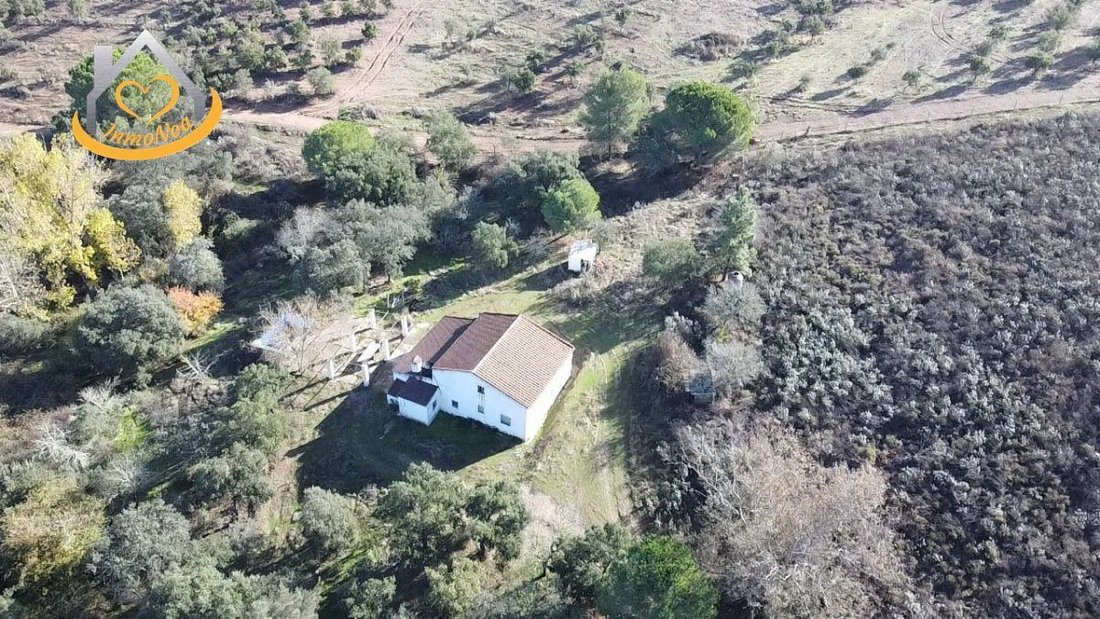 Farm Ranch in Puebla de Guzman, Andalusia, Spain 4 - 16706482