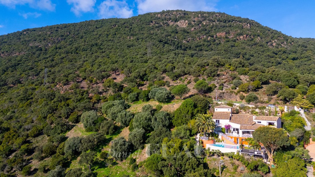 House in Nord, Cavalaire-sur-Mer, France 4 - 16706914