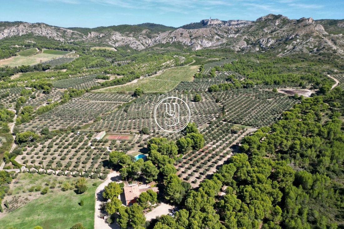Villa in Saint-Rémy-de-Provence, Provence-Alpes-Côte d'Azur, France 4 - 16707261