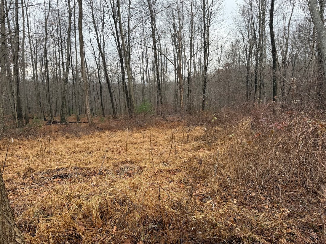 Land in Tolland, Connecticut, United States 1 - 16707647