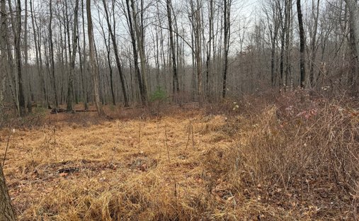 Land in Tolland, Connecticut, United States 1