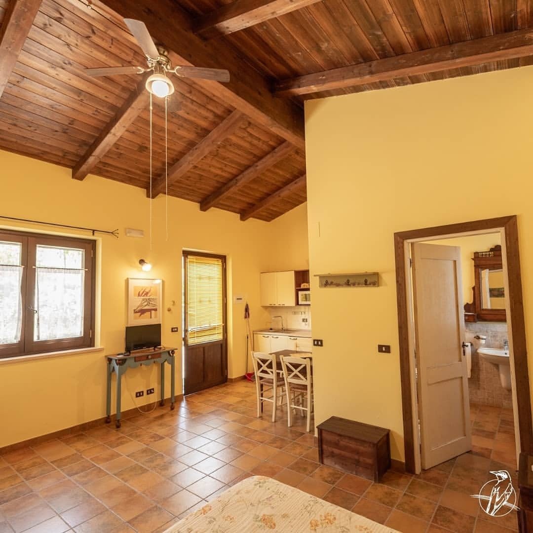 Country House in Morro d'Oro, Abruzzo, Italy 5 - 16707122