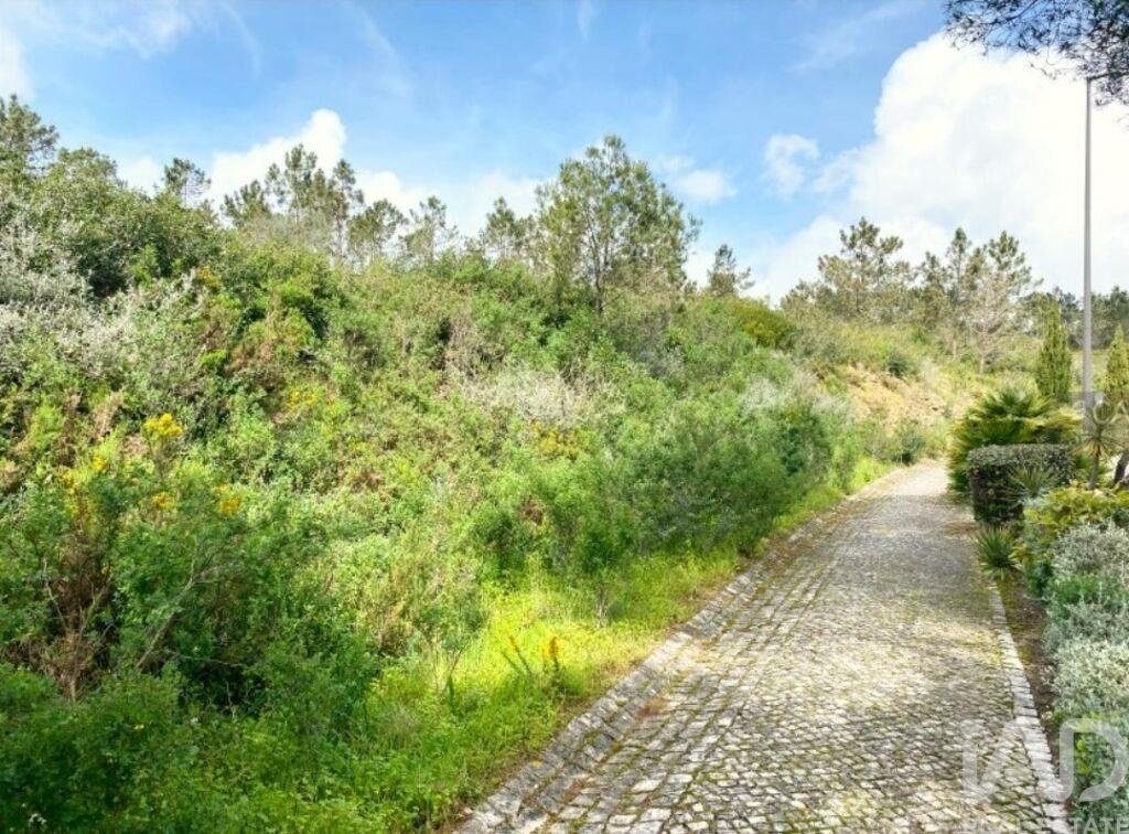Land in Belas, Lisbon, Portugal 3 - 16710634