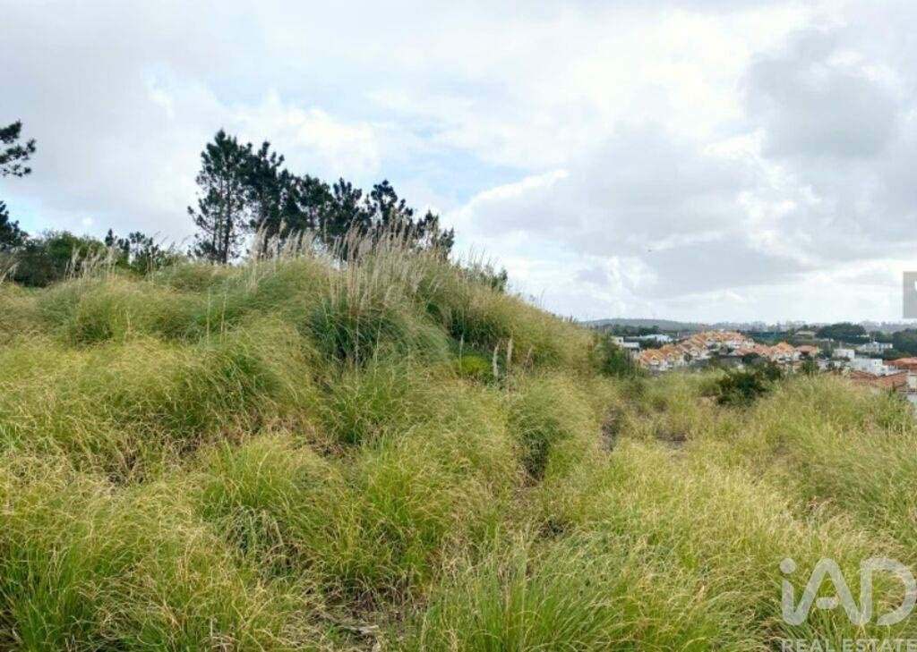 Land in Belas, Lisbon, Portugal 4 - 16710634