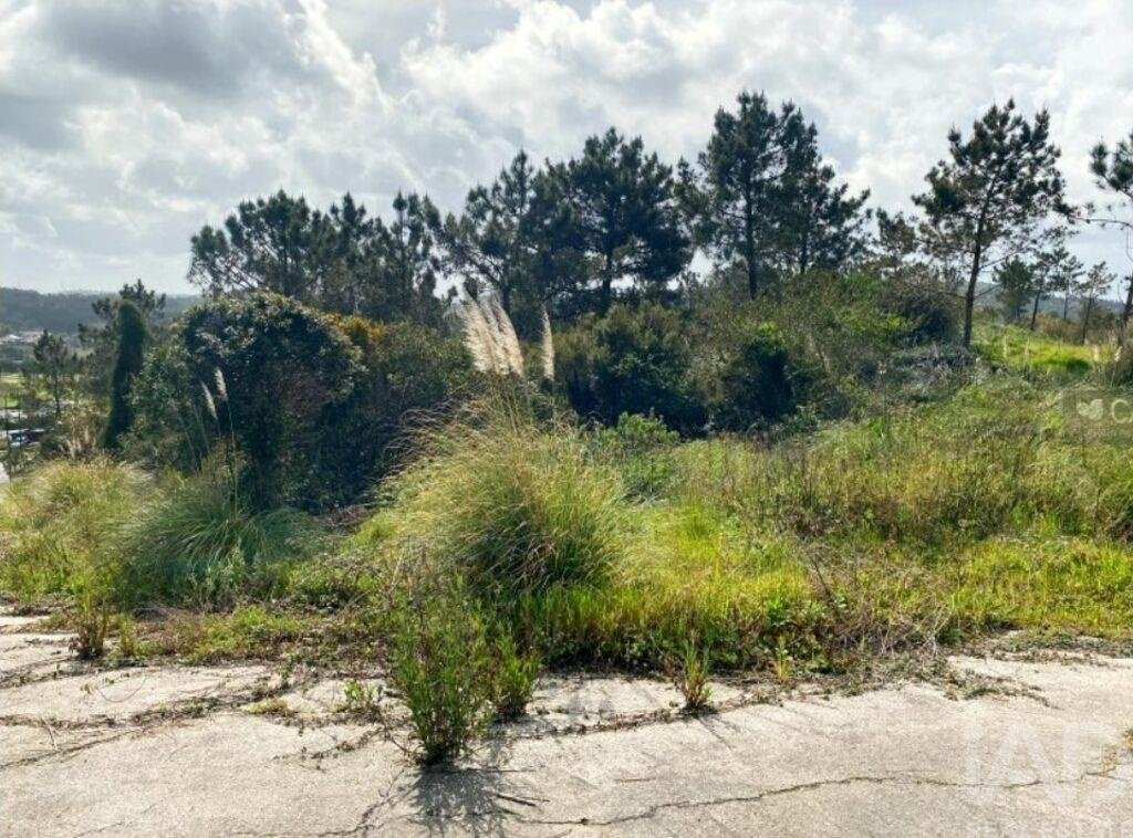 Land in Belas, Lisbon, Portugal 5 - 16710634