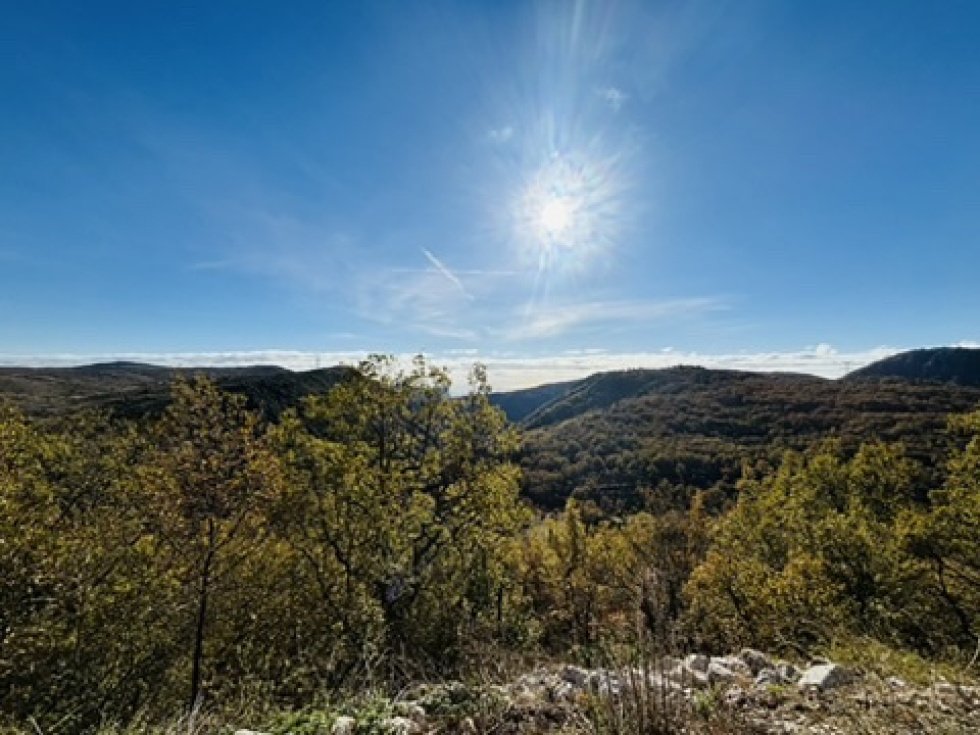Villa in Coursegoules, Provence-Alpes-Côte d'Azur, France 2 - 16709961