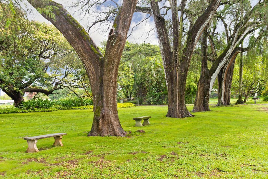 House in Waimea, Hawaii, United States 3 - 16710438